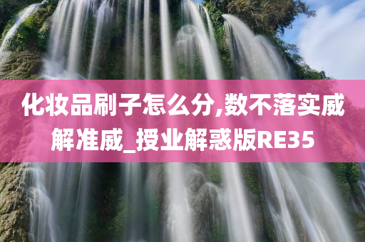 化妆品刷子怎么分,数不落实威解准威_授业解惑版RE35