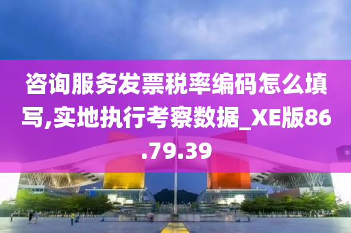 咨询服务发票税率编码怎么填写,实地执行考察数据_XE版86.79.39