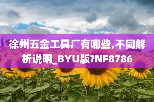 徐州五金工具厂有哪些,不同解析说明_BYU版?NF8786