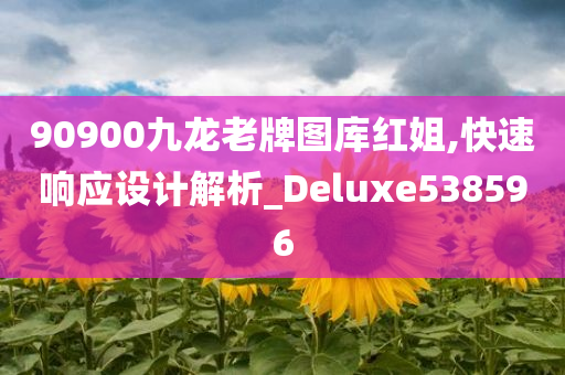 90900九龙老牌图库红姐,快速响应设计解析_Deluxe538596