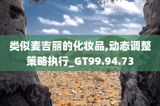 类似麦吉丽的化妆品,动态调整策略执行_GT99.94.73