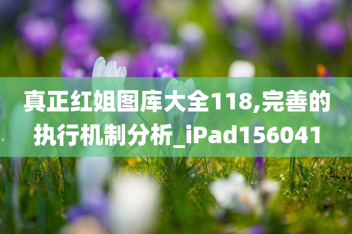 真正红姐图库大全118,完善的执行机制分析_iPad156041