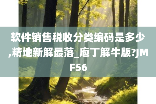 软件销售税收分类编码是多少,精地新解最落_庖丁解牛版?JMF56