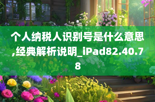 个人纳税人识别号是什么意思,经典解析说明_iPad82.40.78