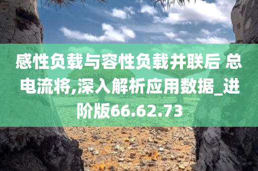 感性负载与容性负载并联后 总电流将,深入解析应用数据_进阶版66.62.73