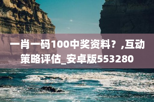 一肖一码100中奖资料？,互动策略评估_安卓版553280