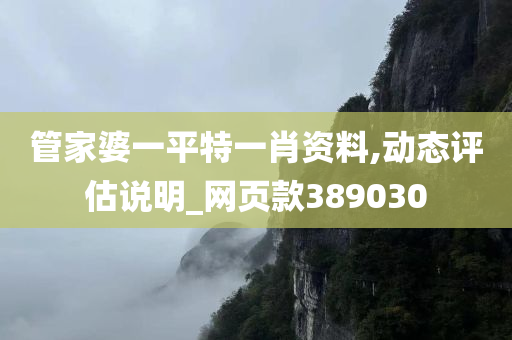 管家婆一平特一肖资料,动态评估说明_网页款389030