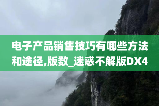 电子产品销售技巧有哪些方法和途径,版数_迷惑不解版DX4