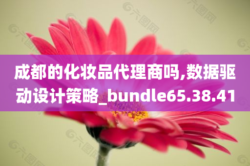 成都的化妆品代理商吗,数据驱动设计策略_bundle65.38.41