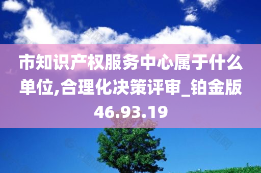 市知识产权服务中心属于什么单位,合理化决策评审_铂金版46.93.19