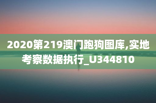 2020第219澳门跑狗图库,实地考察数据执行_U344810