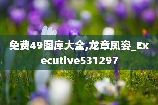 免费49图库大全,龙章凤姿_Executive531297