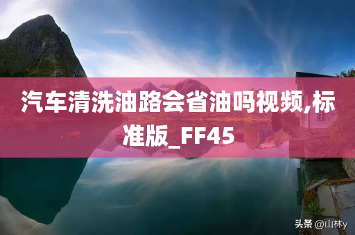 汽车清洗油路会省油吗视频,标准版_FF45