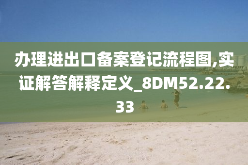 办理进出口备案登记流程图,实证解答解释定义_8DM52.22.33