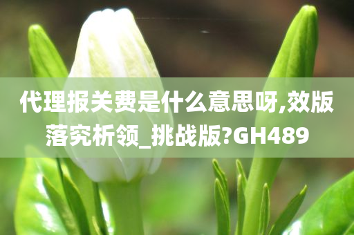 代理报关费是什么意思呀,效版落究析领_挑战版?GH489