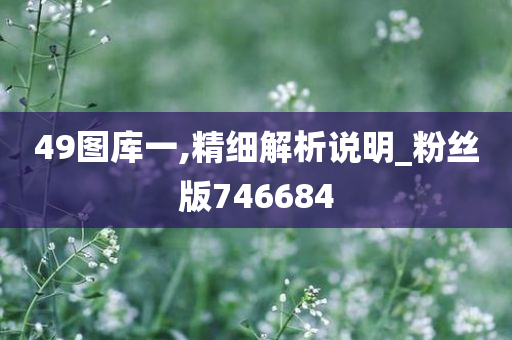 49图库一,精细解析说明_粉丝版746684