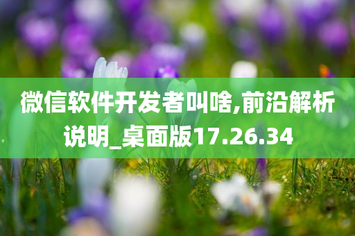 微信软件开发者叫啥,前沿解析说明_桌面版17.26.34