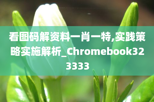 看图码解资料一肖一特,实践策略实施解析_Chromebook323333