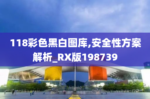 118彩色黑白图库,安全性方案解析_RX版198739