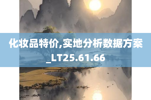 化妆品特价,实地分析数据方案_LT25.61.66