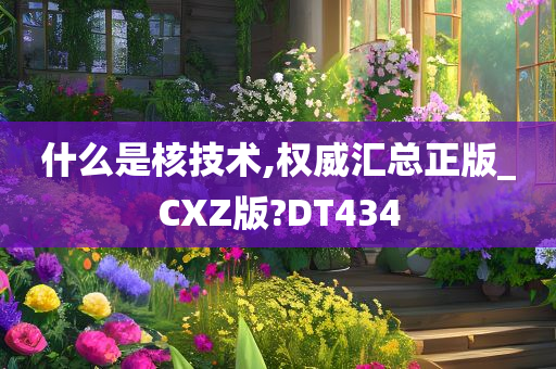 什么是核技术,权威汇总正版_CXZ版?DT434