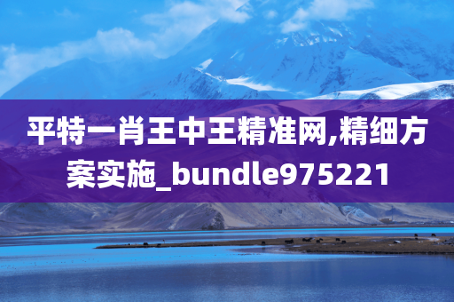 平特一肖王中王精准网,精细方案实施_bundle975221