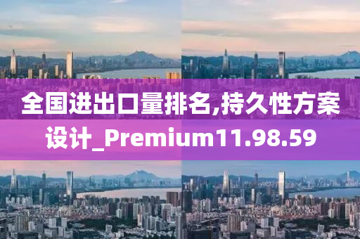 全国进出口量排名,持久性方案设计_Premium11.98.59