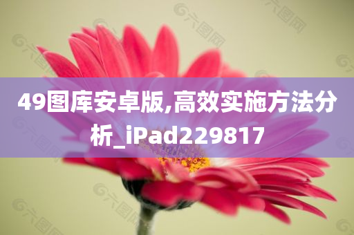 49图库安卓版,高效实施方法分析_iPad229817