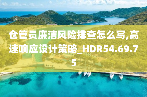 仓管员廉洁风险排查怎么写,高速响应设计策略_HDR54.69.75