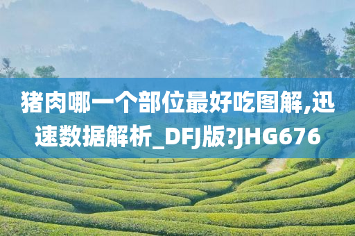 猪肉哪一个部位最好吃图解,迅速数据解析_DFJ版?JHG676