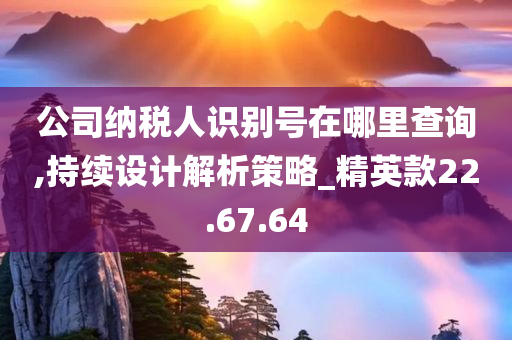 公司纳税人识别号在哪里查询,持续设计解析策略_精英款22.67.64