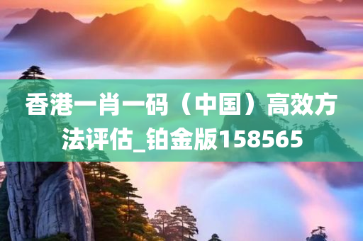 香港一肖一码（中国）高效方法评估_铂金版158565