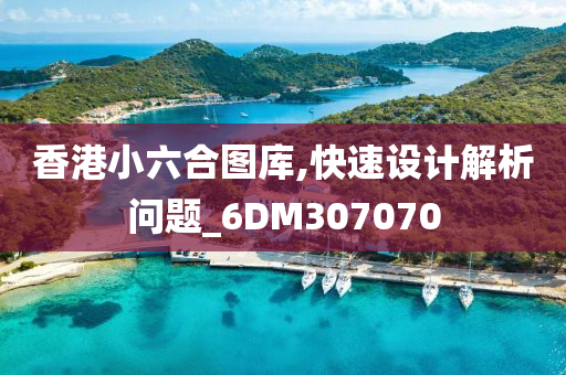 香港小六合图库,快速设计解析问题_6DM307070