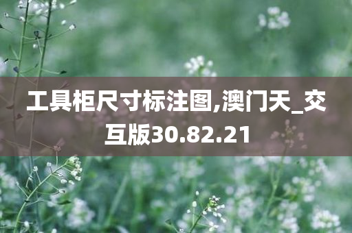 工具柜尺寸标注图,澳门天_交互版30.82.21