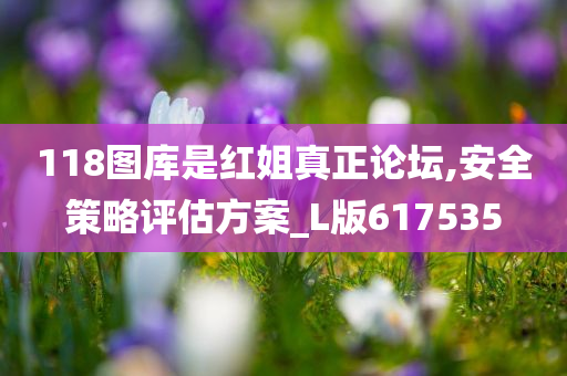 118图库是红姐真正论坛,安全策略评估方案_L版617535