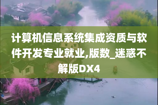 计算机信息系统集成资质与软件开发专业就业,版数_迷惑不解版DX4