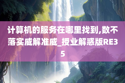 计算机的服务在哪里找到,数不落实威解准威_授业解惑版RE35