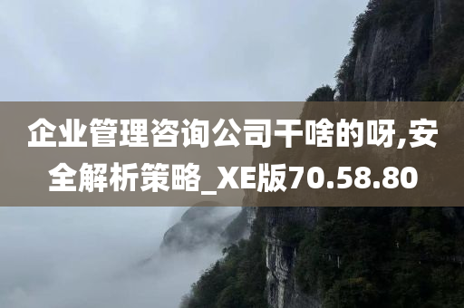 企业管理咨询公司干啥的呀,安全解析策略_XE版70.58.80