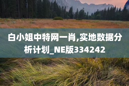 白小姐中特网一肖,实地数据分析计划_NE版334242