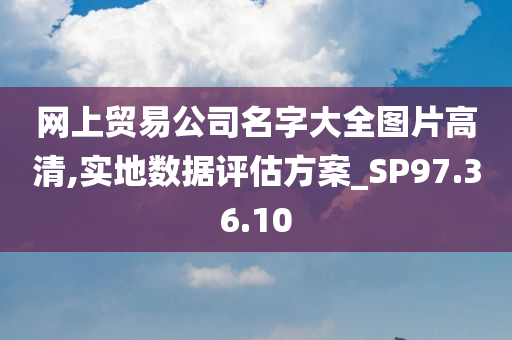 网上贸易公司名字大全图片高清,实地数据评估方案_SP97.36.10