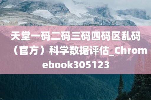 天堂一码二码三码四码区乱码（官方）科学数据评估_Chromebook305123