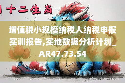 增值税小规模纳税人纳税申报实训报告,实地数据分析计划_AR47.73.54