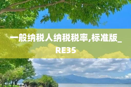 一般纳税人纳税税率,标准版_RE35