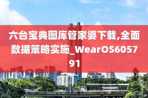 六台宝典图库管家婆下载,全面数据策略实施_WearOS605791