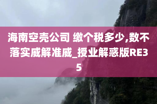 海南空壳公司 缴个税多少,数不落实威解准威_授业解惑版RE35