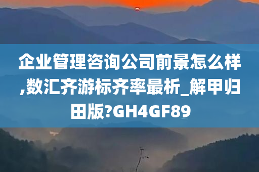 企业管理咨询公司前景怎么样,数汇齐游标齐率最析_解甲归田版?GH4GF89