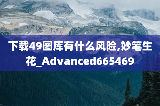 下载49图库有什么风险,妙笔生花_Advanced665469