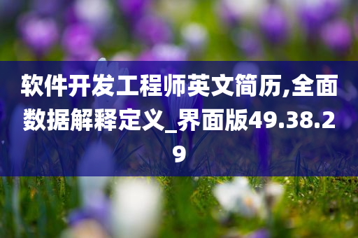 软件开发工程师英文简历,全面数据解释定义_界面版49.38.29