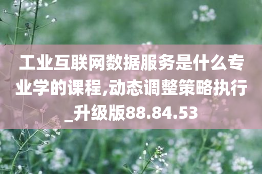 工业互联网数据服务是什么专业学的课程,动态调整策略执行_升级版88.84.53