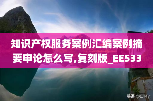 知识产权服务案例汇编案例摘要申论怎么写,复刻版_EE533